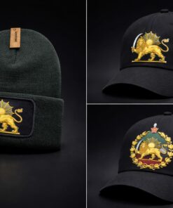 cassette Lion et Soleil